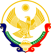 МО сельское поселение «сельсовет «Губденский»